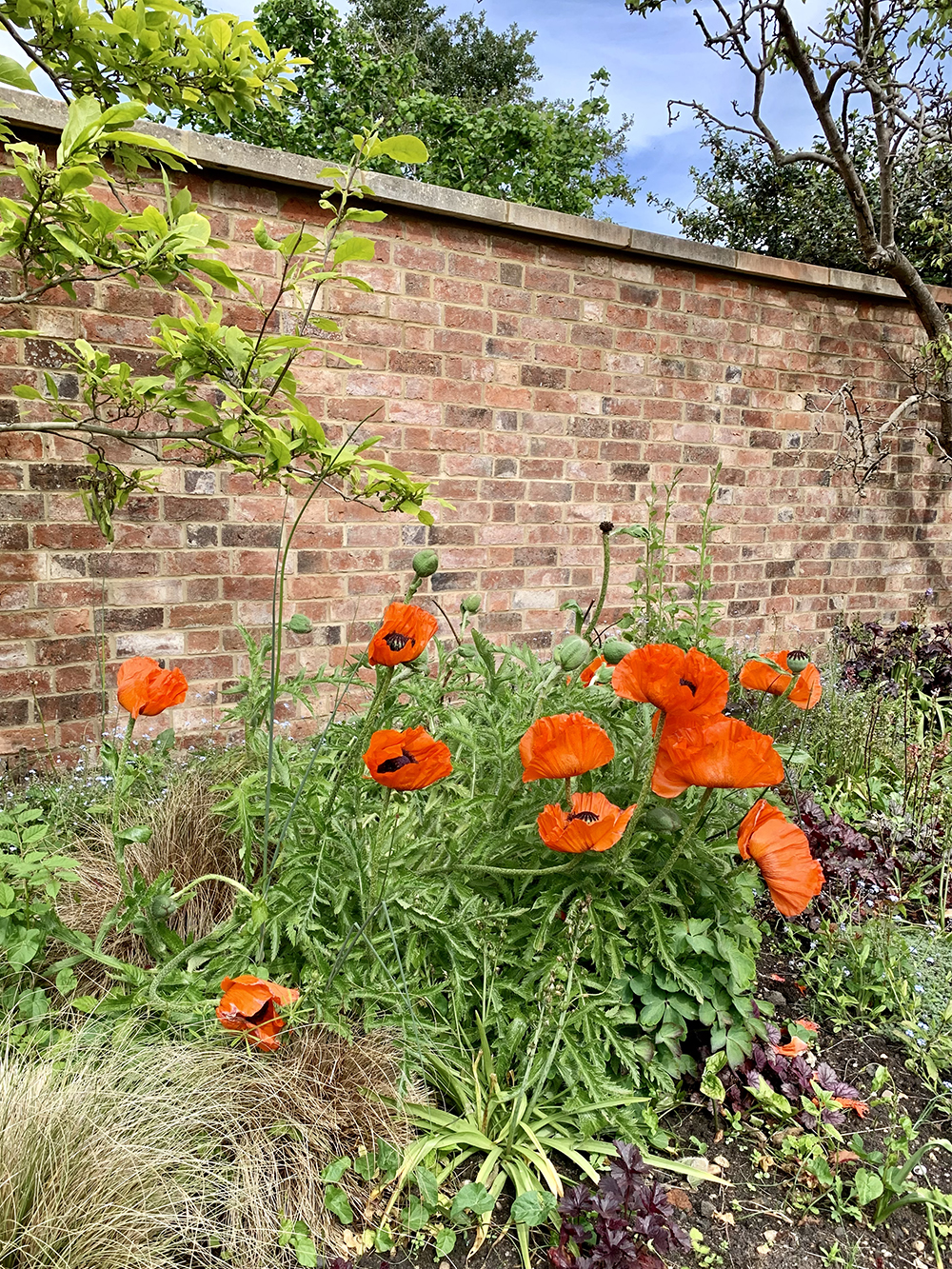 Sussex bond boundary wall3